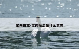 定向投放-定向投流是什么意思