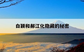 白颖和郝江化隐藏的秘密-郝叔同人之左京的转变