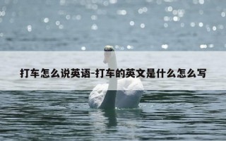 打车怎么说英语-打车的英文是什么怎么写