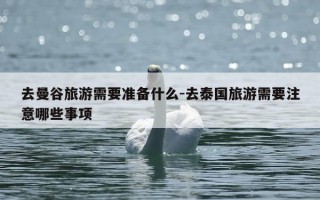 去曼谷旅游需要准备什么-去泰国旅游需要注意哪些事项