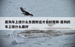 属狗车上挂什么东西财运才会好视频-属狗的车上挂什么最好