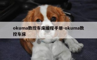 okuma数控车床编程手册-okuma数控车床