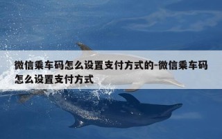 微信乘车码怎么设置支付方式的-微信乘车码怎么设置支付方式