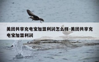 美团共享充电宝加盟利润怎么样-美团共享充电宝加盟利润