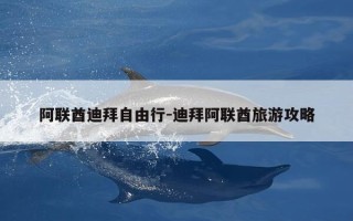 阿联酋迪拜自由行-迪拜阿联酋旅游攻略