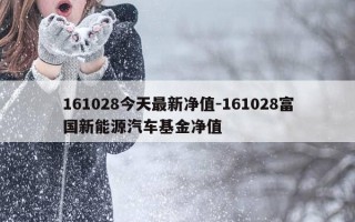 161028今天最新净值-161028富国新能源汽车基金净值