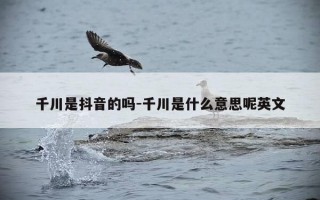 千川是抖音的吗-千川是什么意思呢英文