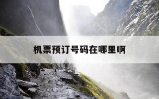 机票预订号码在哪里啊-机票预订编码在哪查看