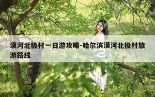 漠河北极村一日游攻略-哈尔滨漠河北极村旅游路线