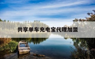 共享单车充电宝代理加盟-电动车共享充电宝加盟