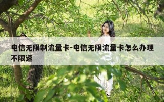 电信无限制流量卡-电信无限流量卡怎么办理不限速