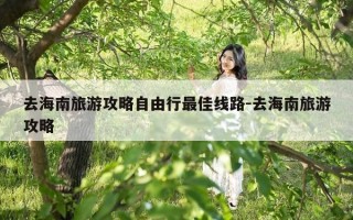 去海南旅游攻略自由行最佳线路-去海南旅游攻略