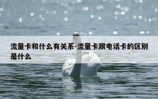 流量卡和什么有关系-流量卡跟电话卡的区别是什么