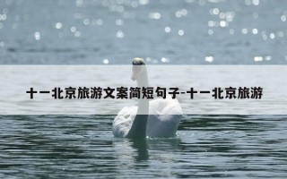十一北京旅游文案简短句子-十一北京旅游