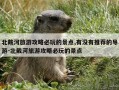 北戴河旅游攻略必玩的景点,有没有推荐的导游-北戴河旅游攻略必玩的景点