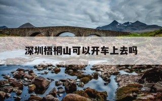 深圳梧桐山可以开车上去吗-深圳梧桐山可以开车上去吗多少钱
