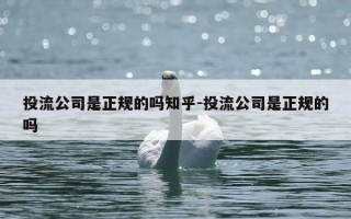 投流公司是正规的吗知乎-投流公司是正规的吗