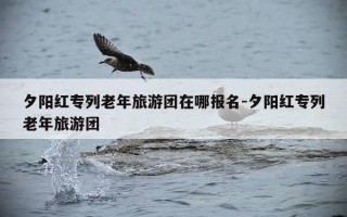 夕阳红专列老年旅游团在哪报名-夕阳红专列老年旅游团