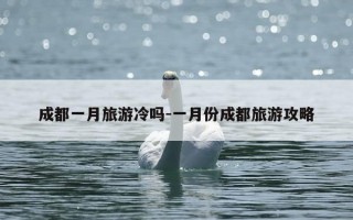 成都一月旅游冷吗-一月份成都旅游攻略
