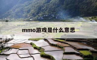 mmo游戏是什么意思-古风mmo游戏是什么意思