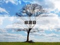 旅游日-旅游日主题