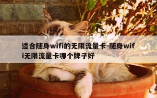 适合随身wifi的无限流量卡-随身wifi无限流量卡哪个牌子好
