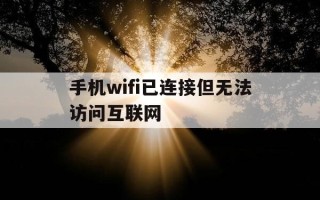 手机wifi已连接但无法访问互联网-手机wifi已连接但无法访问互联网别人可以用