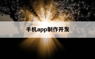 手机app制作开发-手机app制作开发软件