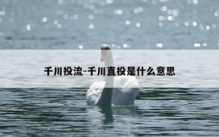 千川投流-千川直投是什么意思