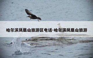 哈尔滨凤凰山旅游区电话-哈尔滨凤凰山旅游
