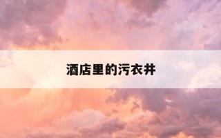 酒店里的污衣井-酒店放脏衣服的叫什么