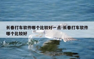 长春打车软件哪个比较好一点-长春打车软件哪个比较好