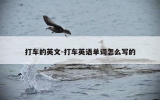 打车的英文-打车英语单词怎么写的