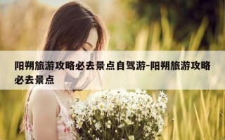 阳朔旅游攻略必去景点自驾游-阳朔旅游攻略必去景点