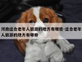 河南适合老年人旅游的地方有哪些-适合老年人旅游的地方有哪些