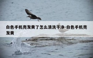 白色手机壳发黄了怎么清洗干净-白色手机壳发黄