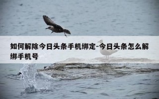 如何解除今日头条手机绑定-今日头条怎么解绑手机号