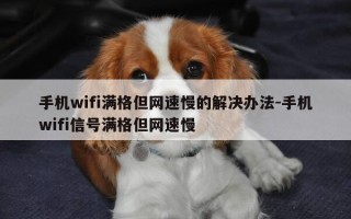 手机wifi满格但网速慢的解决办法-手机wifi信号满格但网速慢