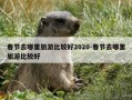 春节去哪里旅游比较好2020-春节去哪里旅游比较好