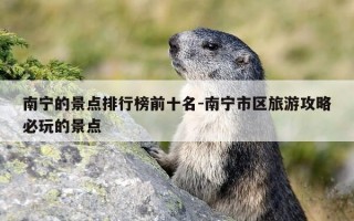 南宁的景点排行榜前十名-南宁市区旅游攻略必玩的景点