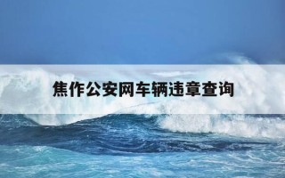 焦作公安网车辆违章查询-输入车牌号一键查违章