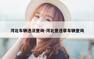 河北车辆违法查询-河北查违章车辆查询