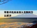 苹果手机尚未接入互联网怎么解决-苹果手机 尚未接入互联网