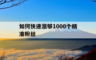 如何快速涨够1000个精准粉丝-上热门文案6000亿流量
