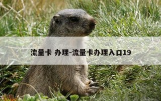 流量卡 办理-流量卡办理入口19