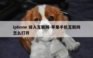 iphone 接入互联网-苹果手机互联网怎么打开