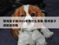 鄂州梁子湖2021年有什么发展-鄂州梁子湖旅游攻略