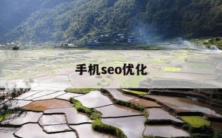 手机seo优化-优化seo设置