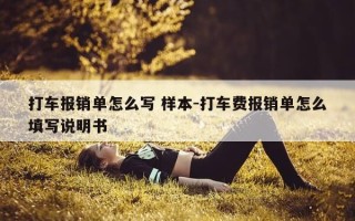 打车报销单怎么写 样本-打车费报销单怎么填写说明书