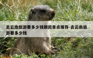 去云南旅游要多少钱跟团景点推荐-去云南旅游要多少钱
